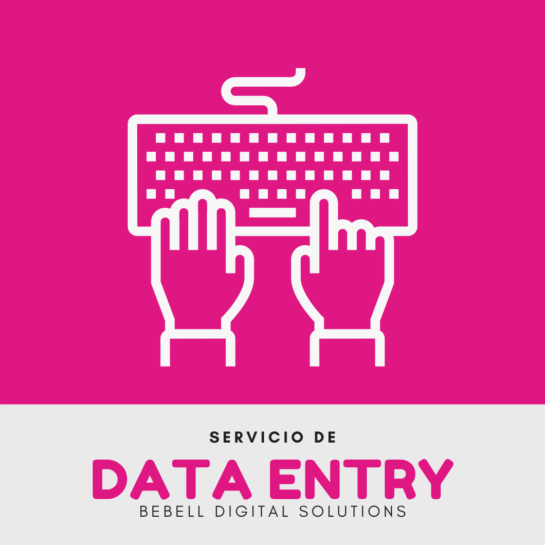 Digitación de Datos - DATA ENTRY (100 unidades)